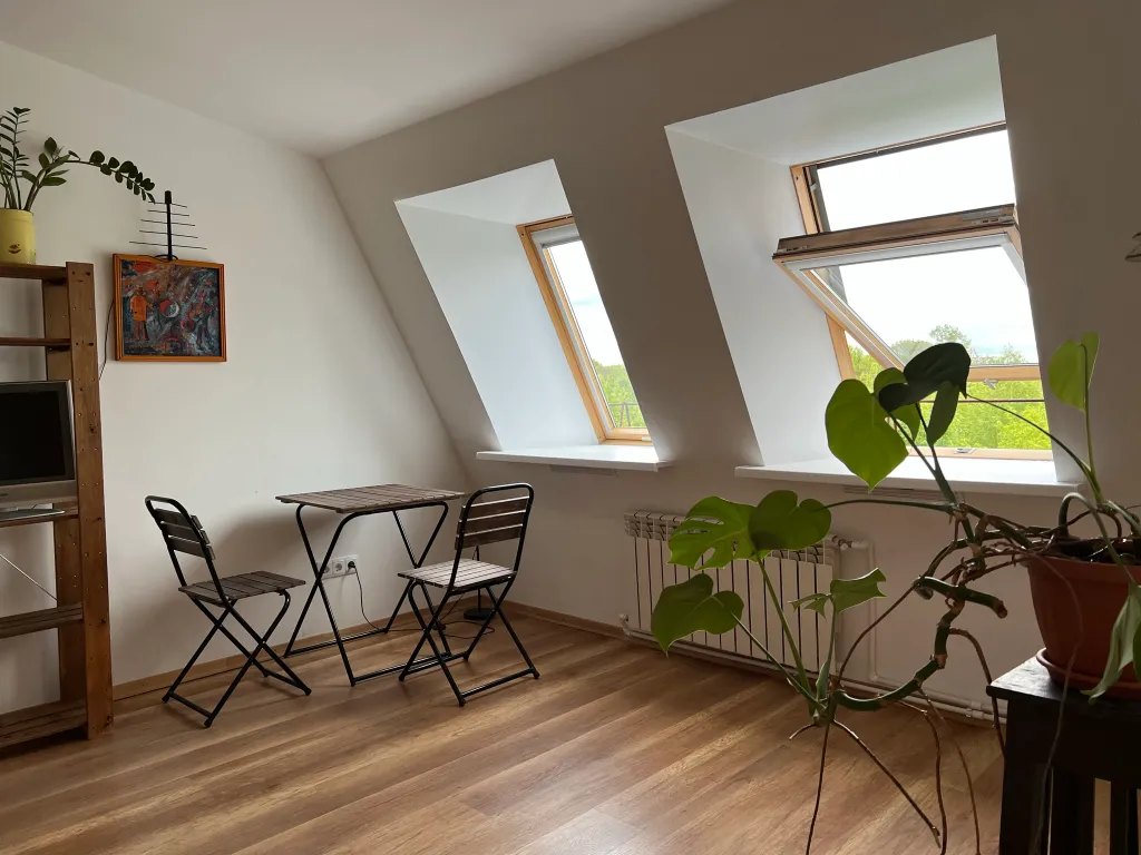 Уютная мансарда в сканди-стиле на берегу Вологды