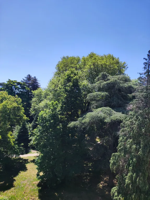 Квартира Квартира Студия в Парке № 3 — Сириус