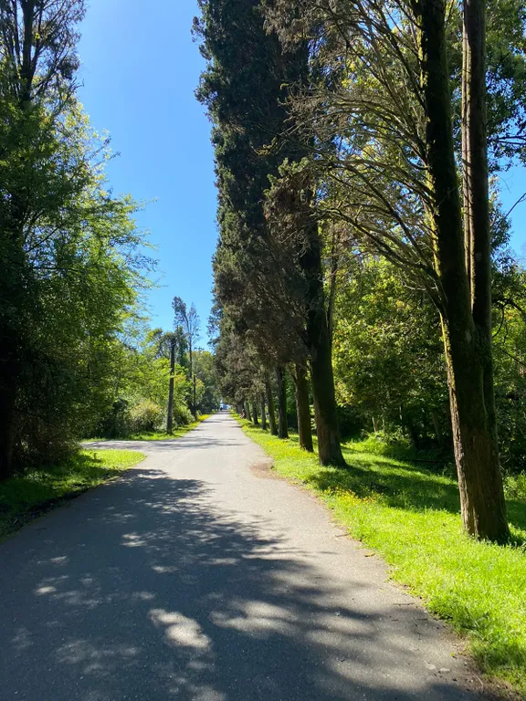 Квартира Райский уголок в живописном месте — аренда посуточно в Агудзера