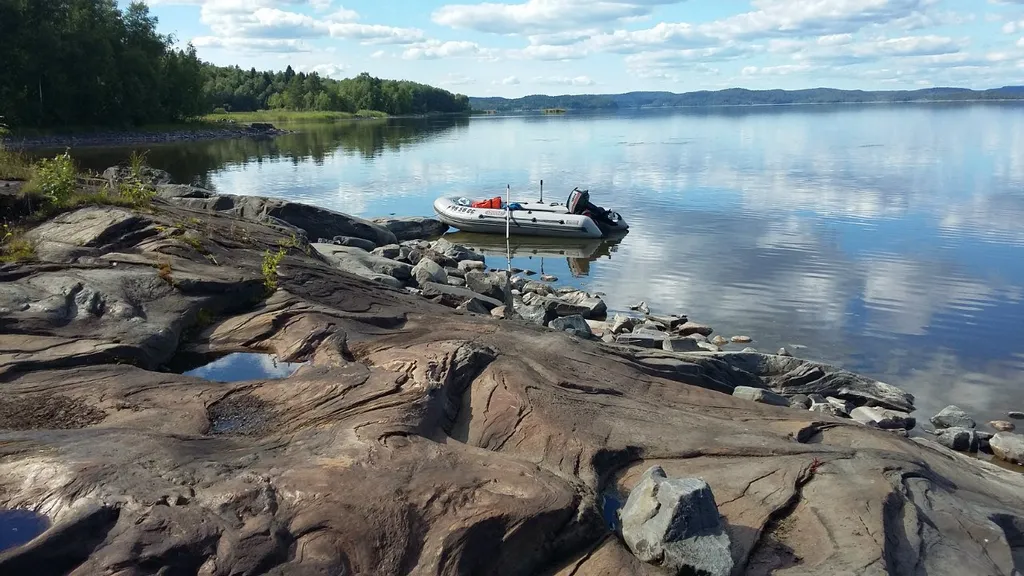 Дом с выходом в лес