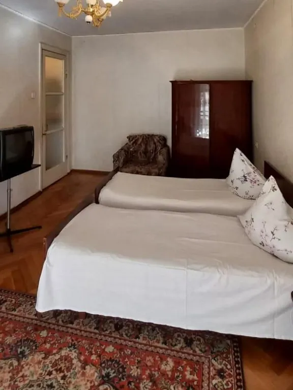 Уютная однокомнатная квартира