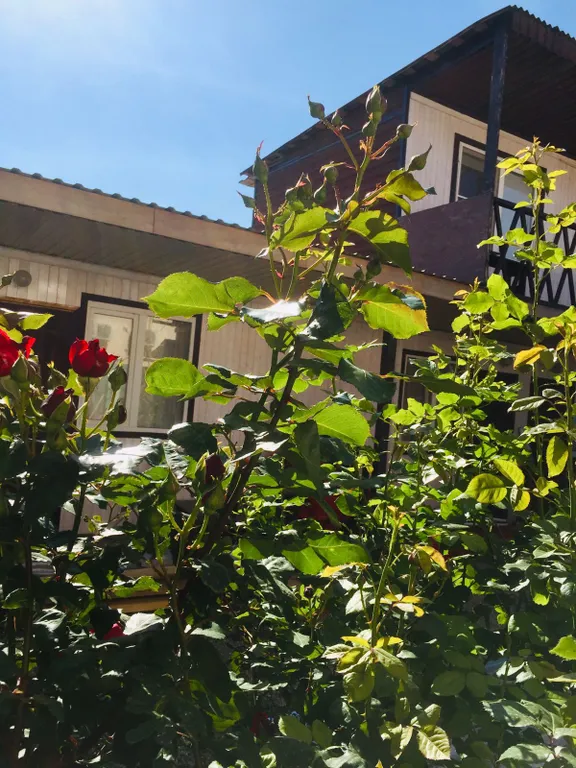 Номер-студия с балконом