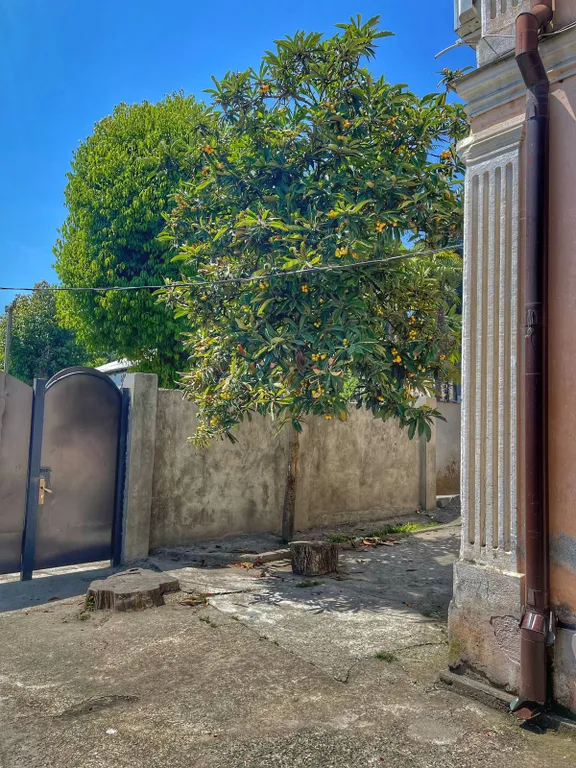 Дом в центре