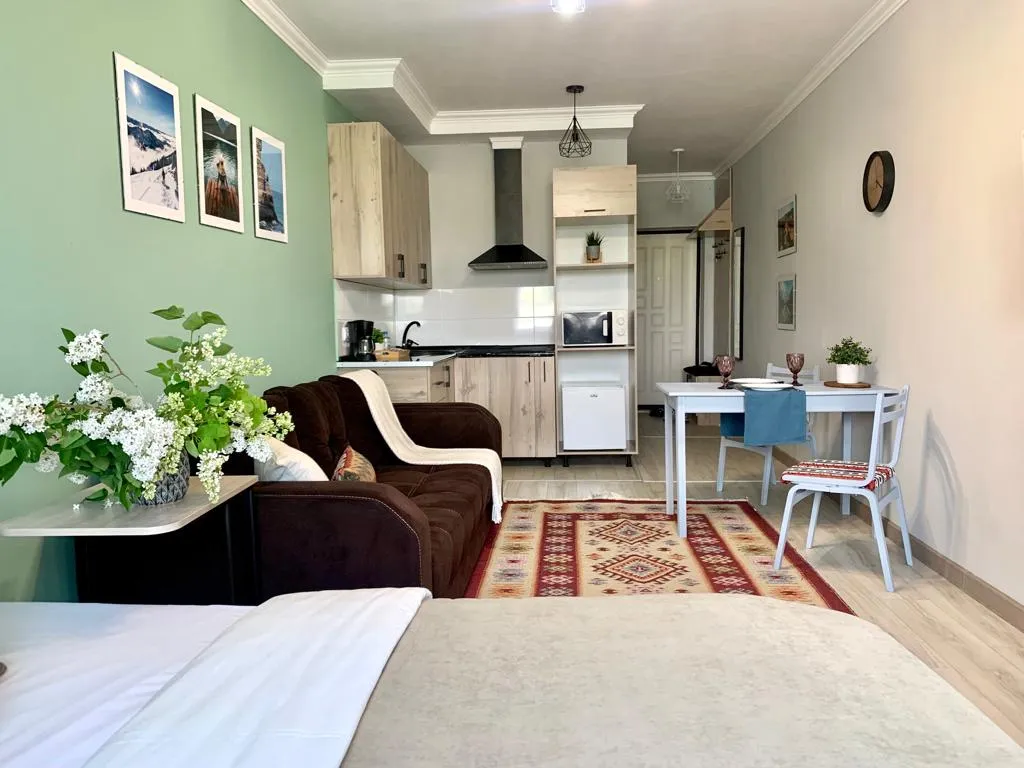 Студия Көктем с национальным колоритом и  видом на город