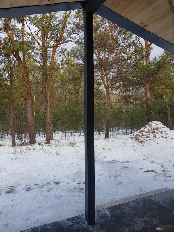 Дом в сосновом лесу