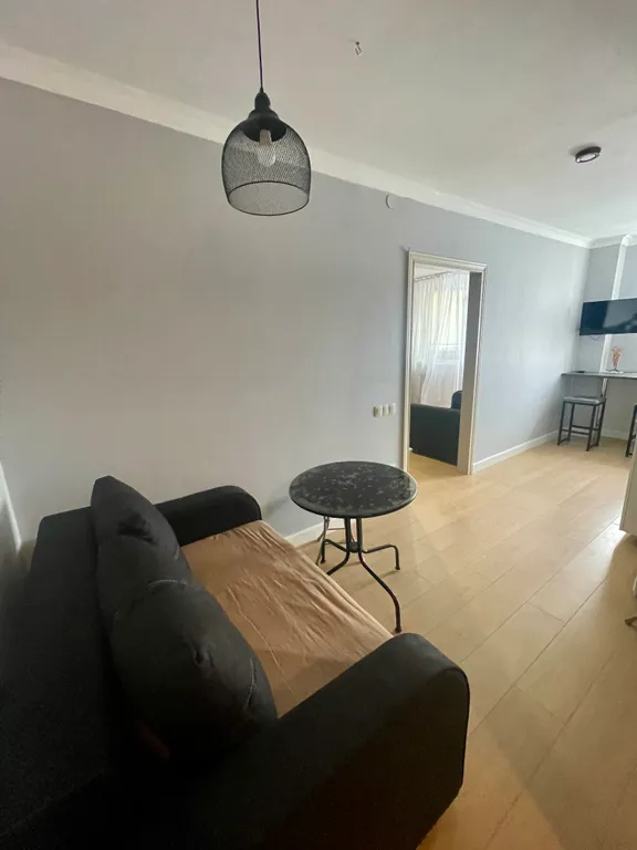 Уютная большая однокомнатная квартира евро двушка