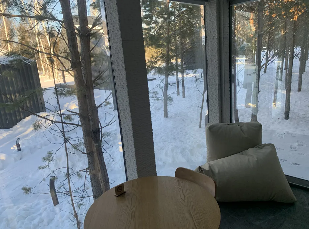 Зеркальный домик с видом на лес