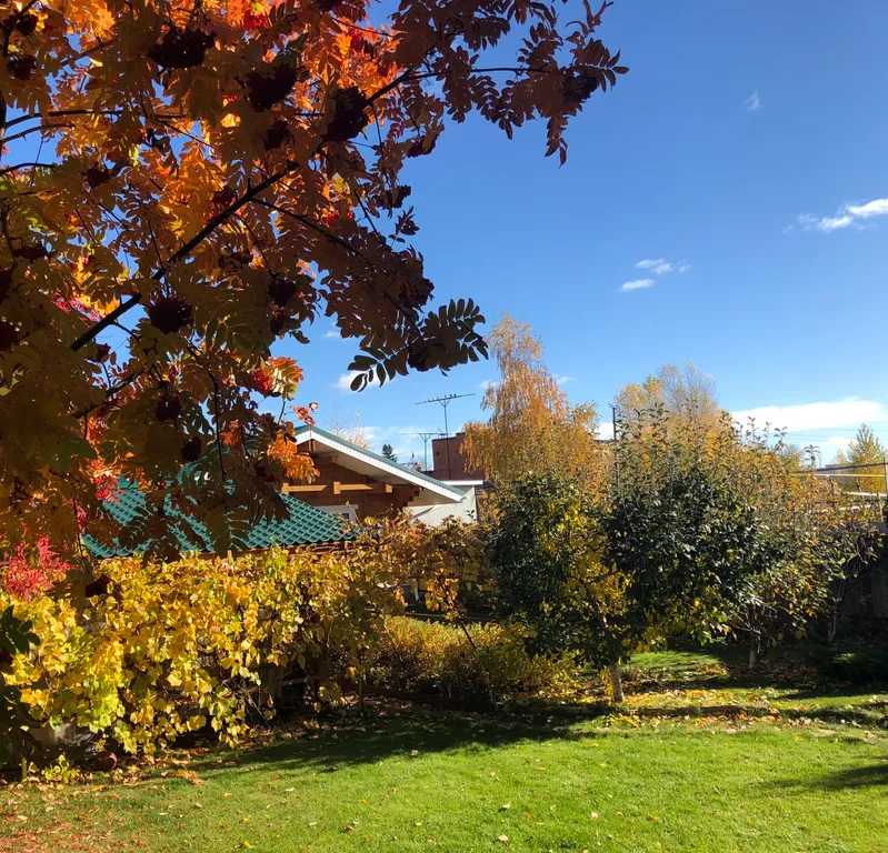 Деревянный домик с русской банькой в Большой Царевщине