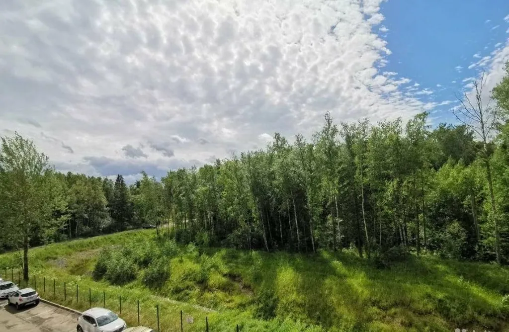 Квартира Квартира Апартамент с видом на лес — Ломоносов