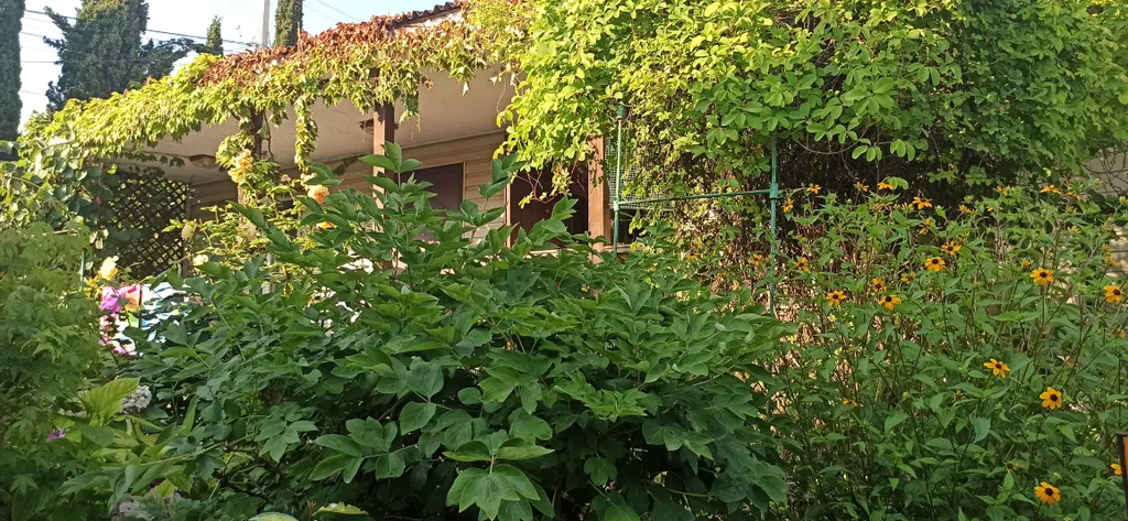 Уютный домик в цветах у Людмилы