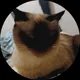 Оксана