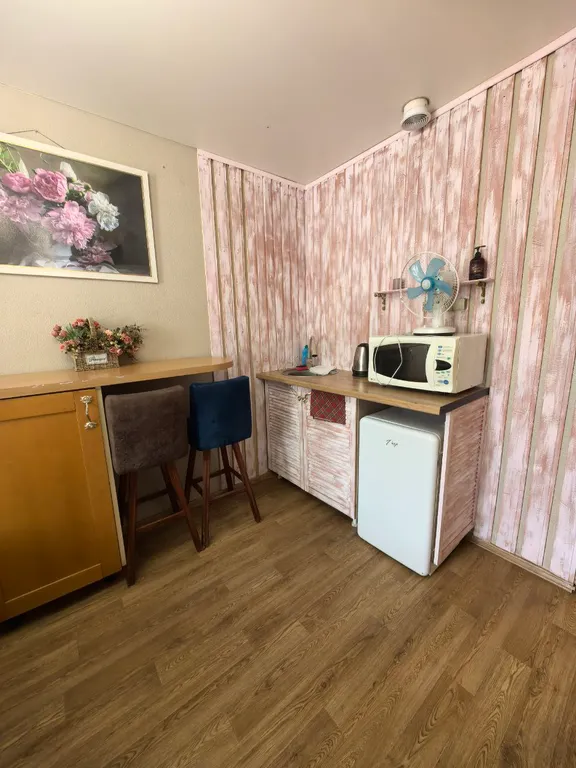 Студия Пыльная роза у набережной