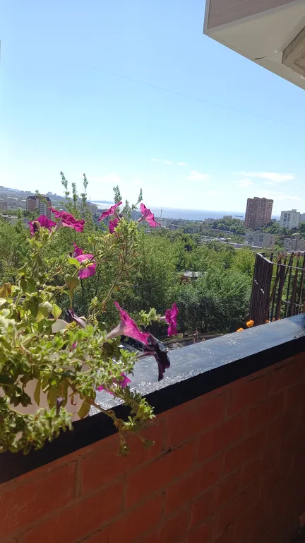 Комната с видом на море