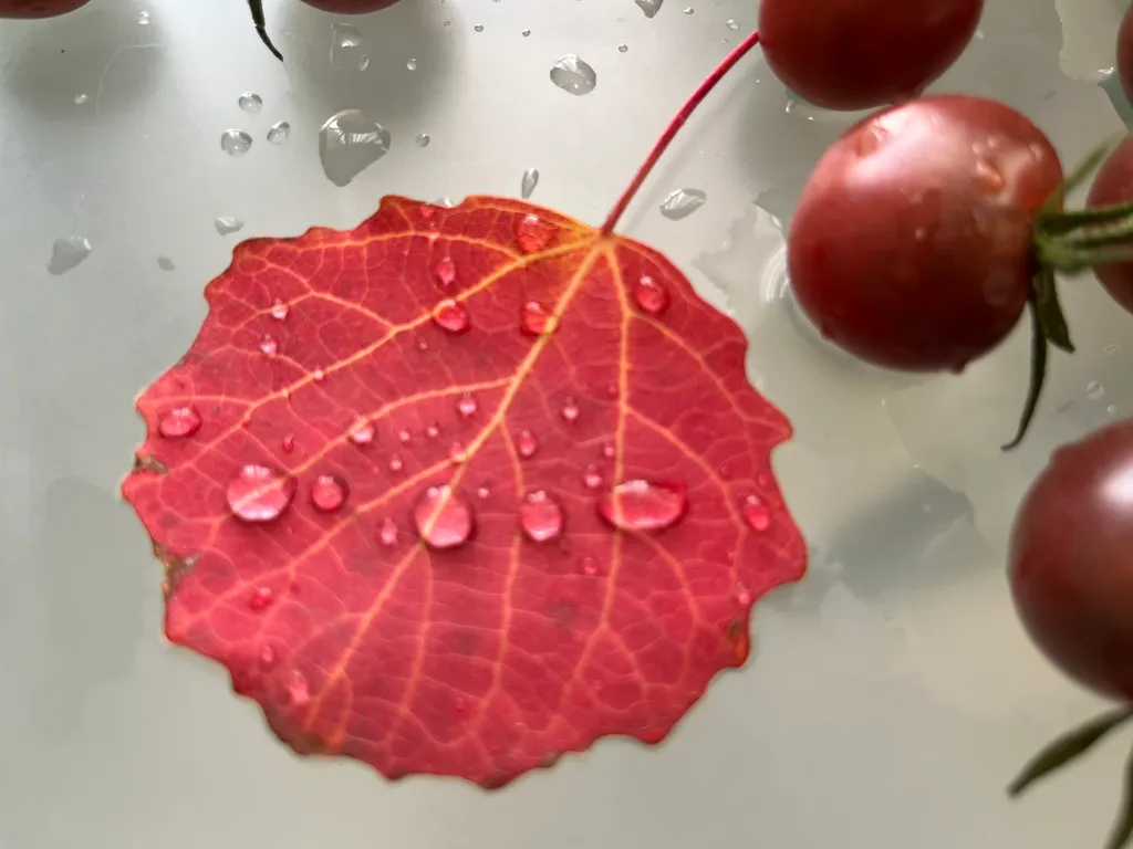 Уютная видовая двушка рядом с метро