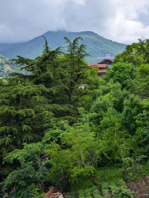 Роскошный вид на горы