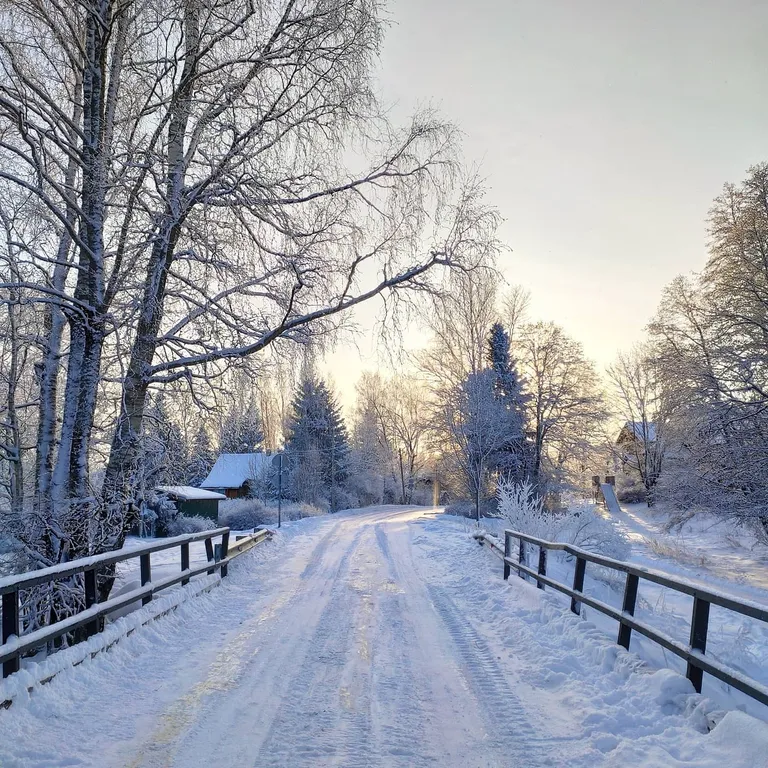 Коттедж Дом с террасой прямо на берегу реки — Торфяное