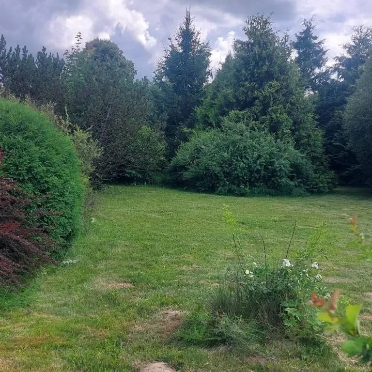 Коттедж с баней