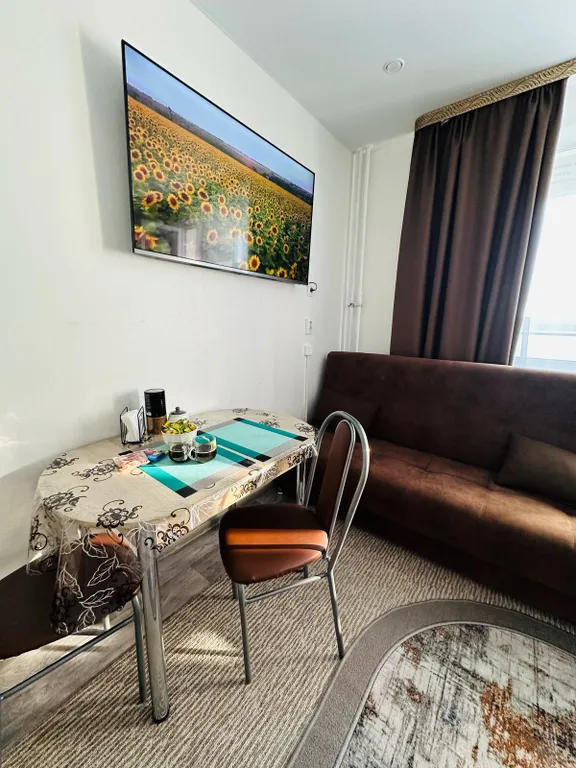 Уютная студия с видом на реку Иртыш