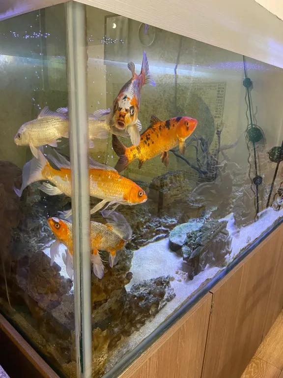 Квартира 1-комнатная Квартира — Лазаревское