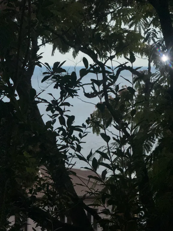 Летний домик