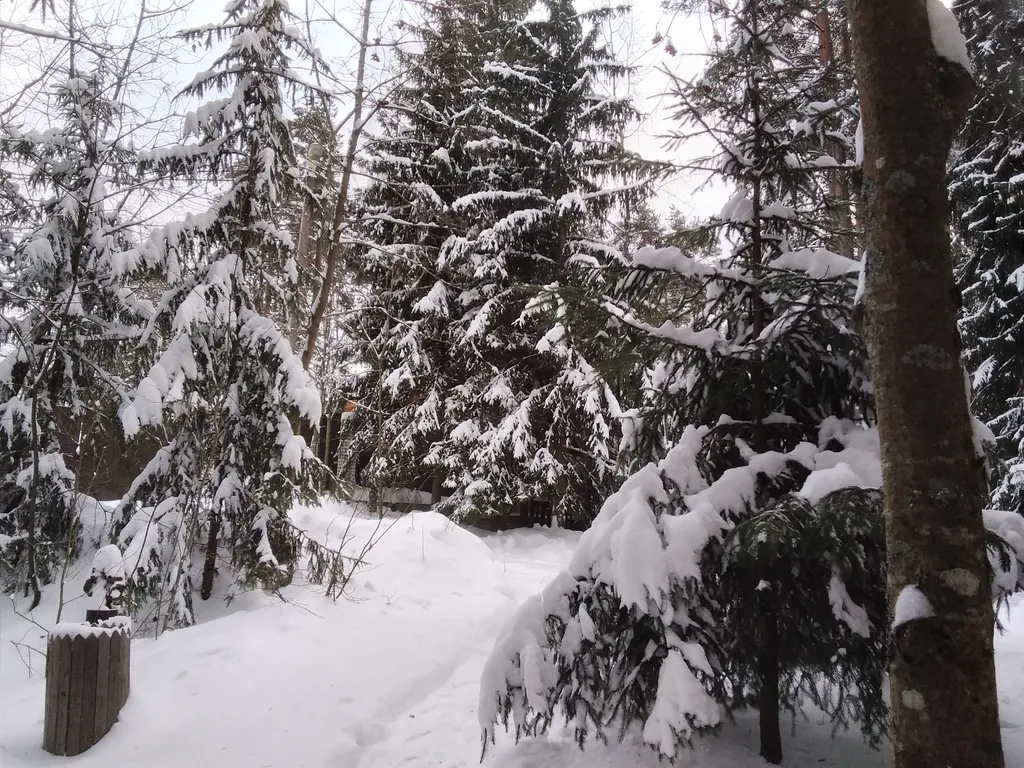 Уютный флигель у озера Большое Борково