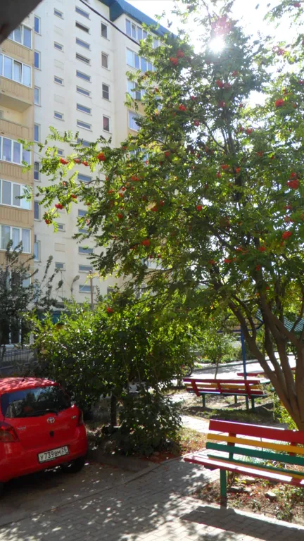 Семейный люкс на парке Победы