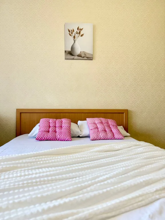 Уютная квартиара в центре города