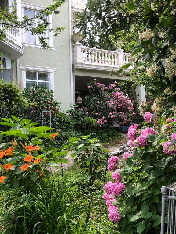 Квартира Уютные апартаменты в центральном районе города — аренда посуточно в Сочи