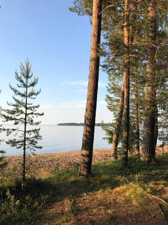 Домик в Карелии