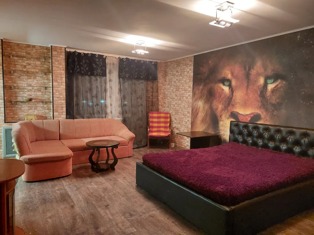 Квартира Львиное сердце в Центральном центре — аренда посуточно в Пермь