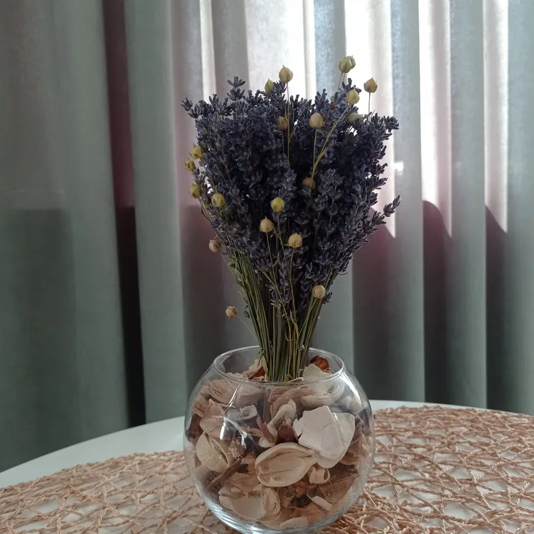 Апартаменты рядом с морем