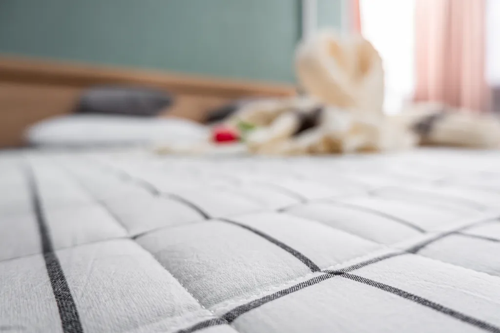 Квартира Premium