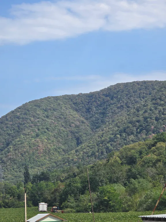 Квартира Уютные апартаменты в ЖК Скала Парус — Прасковеевка