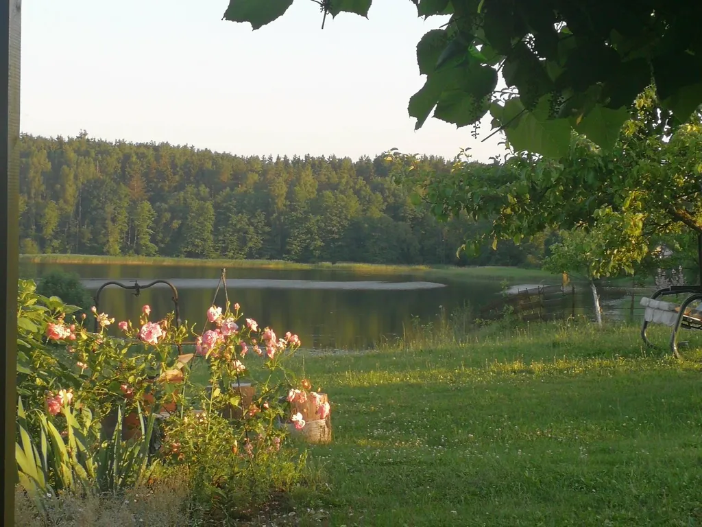 Дом с баней на Браславских озерах