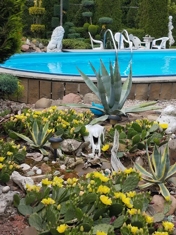 Апартаменты с бассейном
ДомКрус