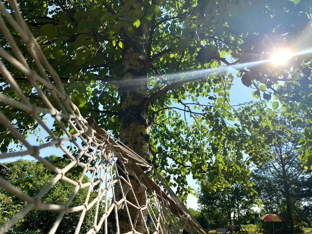 Бунгало у озера