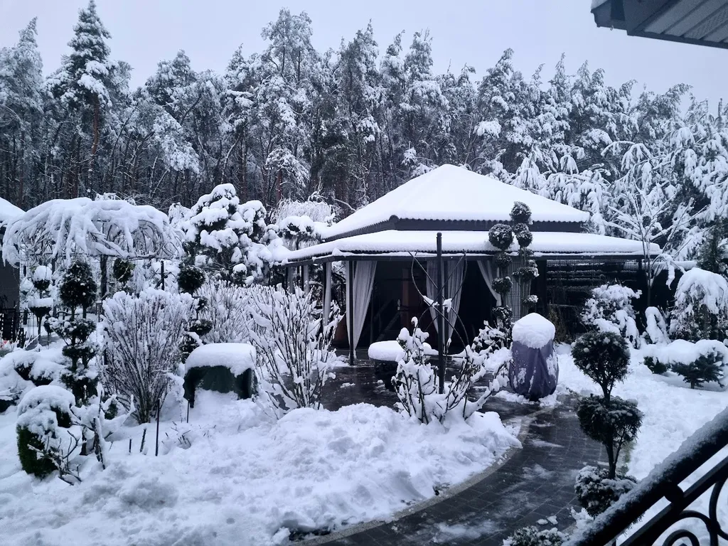 Brest dream garden. Атмосферный гестхаус с шикарным видом на лес