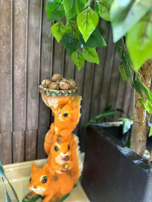 Квартира-студия в центре города