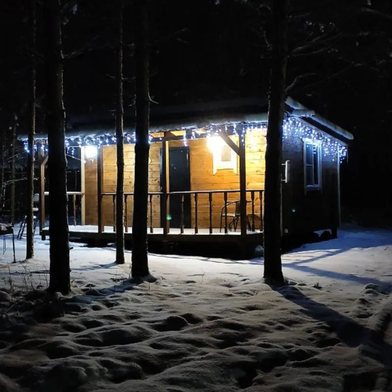 Коттедж Уютный домик №2 в лесу с двухъярусной кроватью — Кутузовское