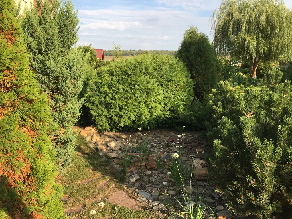 Дом бревенчатый