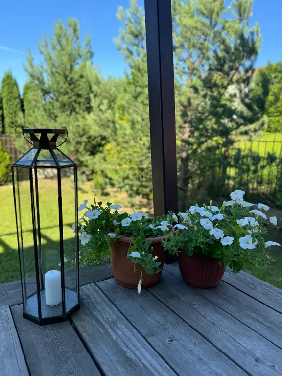 Уютный коттедж в красивом посёлке