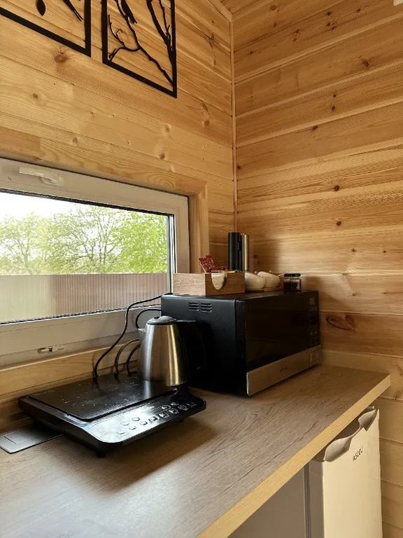 Дом с панорамными окнами с видом на лес