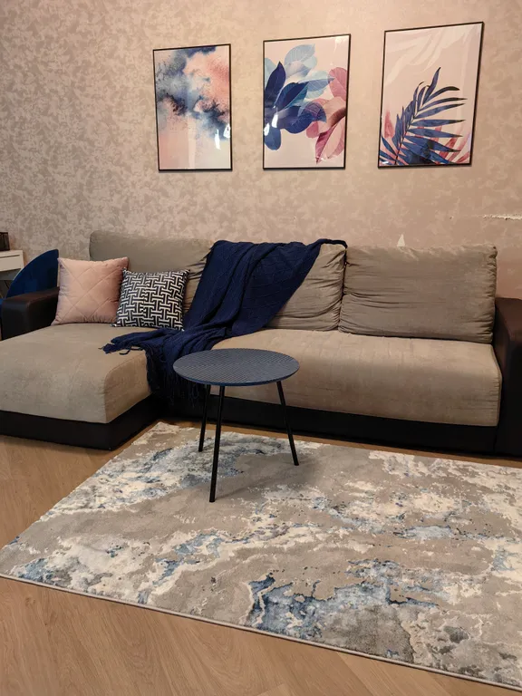 Просторная квартира у Волги, Евродвушка