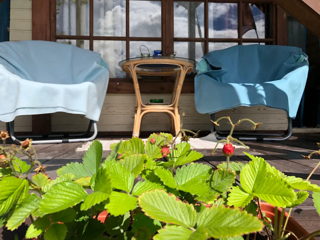 Бунгало у озера