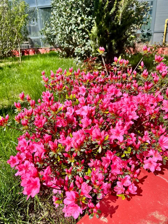 ЖК San Hills, уютная студия на берегу моря