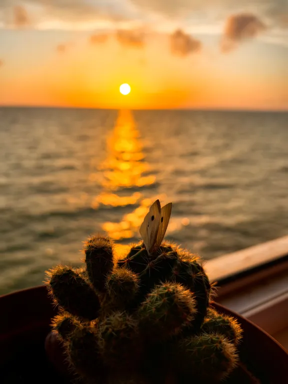 Морская дача у самого моря