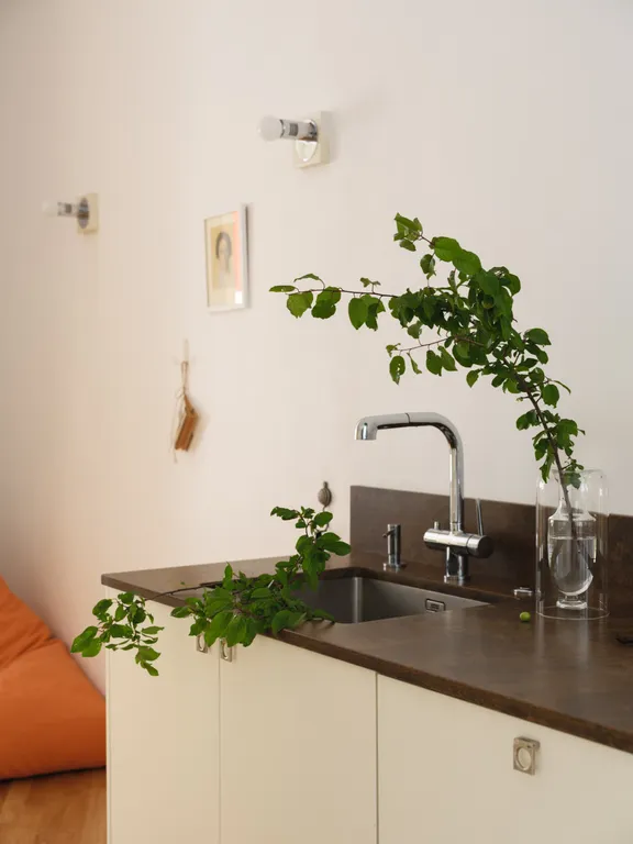 Апартаменты с тремя спальнями на Петроградской стороне