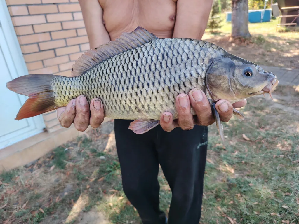 Дом у реки, банный чан, пирс, рыбалка, все для вашего отдыха