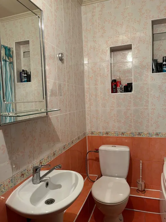 Большой уютный дом в центре