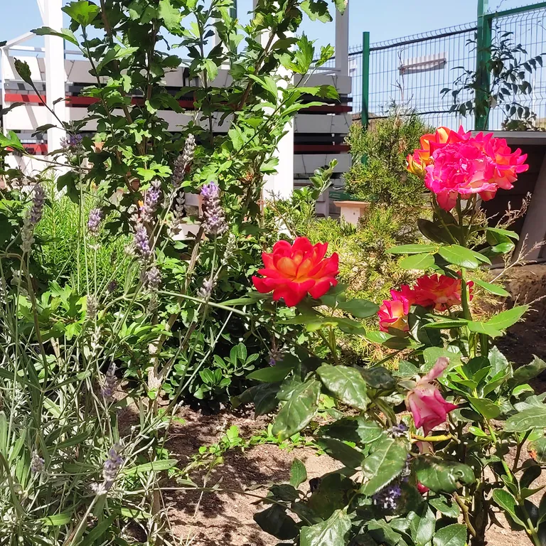 Дом с бассейном на Азовском море Виноград